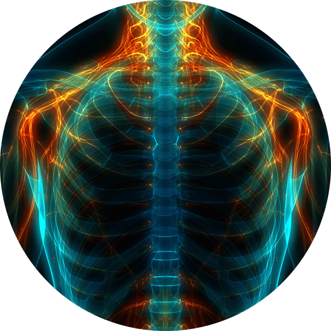 systemic health graphic